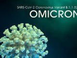 Omicron, The New Variety of Covid - 19